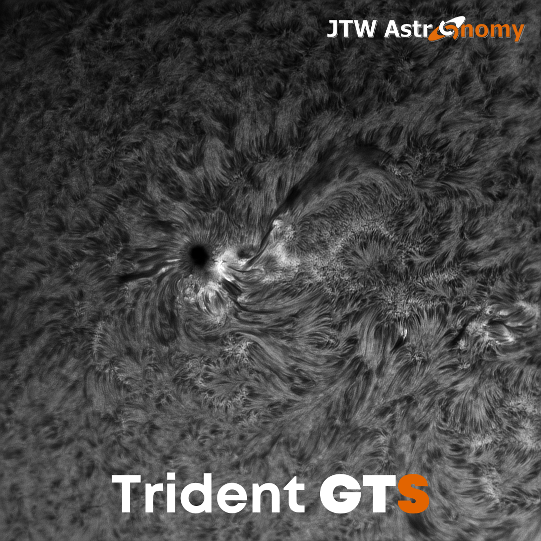 Trident GTS - 50% Deposit - Preorder Special Offer - Free Shipping - Delivery Before 31st January