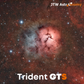 Trident GTS - 50% Deposit - Preorder Special Offer - Free Shipping - Delivery Before 31st January